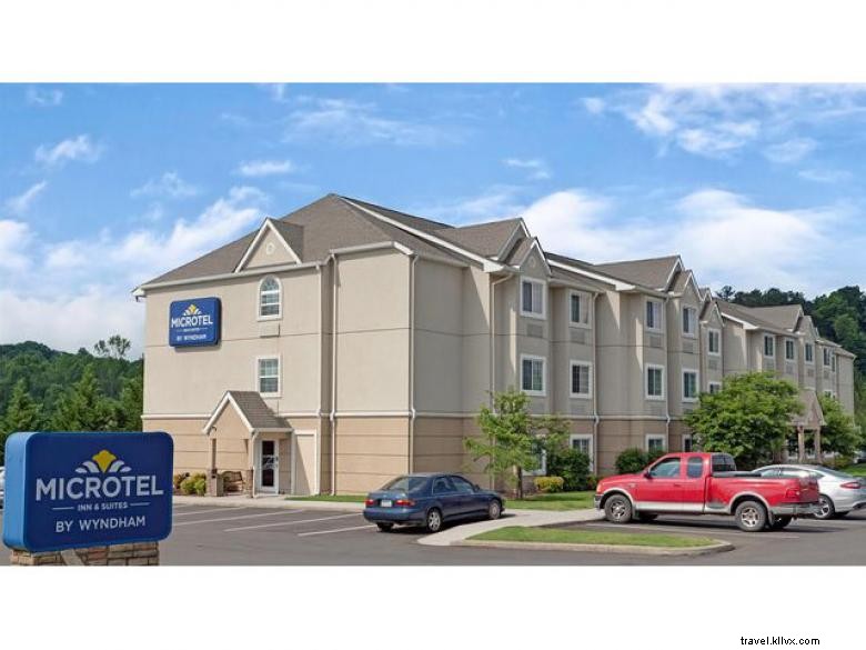 Microtel Inn & Suites by Wyndham – Newly Renovated Hotel in Jasper, GA