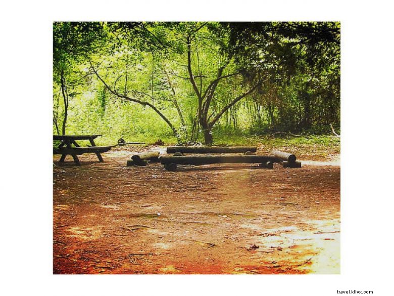 Broad River Outpost: Scenic River Exploration and Family Adventures