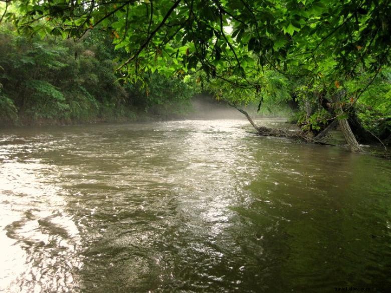 Sunrise Cabins & Cottages – Cozy Retreats in Nature