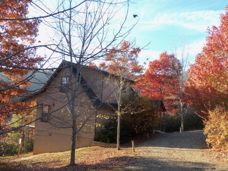 Explore Laurel Mountain Cabins: Luxury Getaways in the Rockies