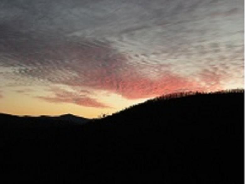 Explore Laurel Mountain Cabins: Luxury Getaways in the Rockies