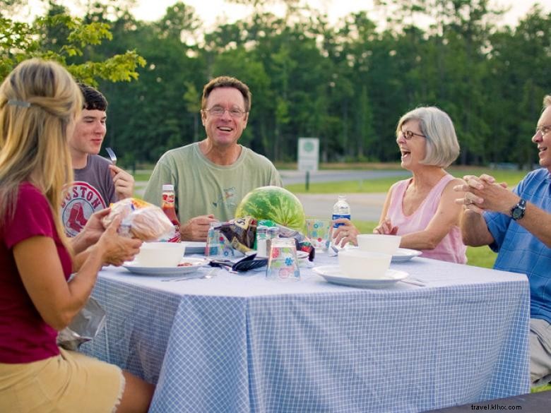 Pine Mountain RV Resort: Luxury Cabins & Yurt Experience in the Wilderness