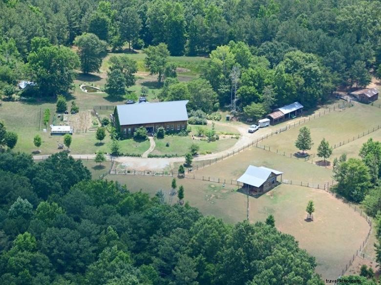 Crafdal Farm Alpacas: Gentle Grazing, Friendly Faces