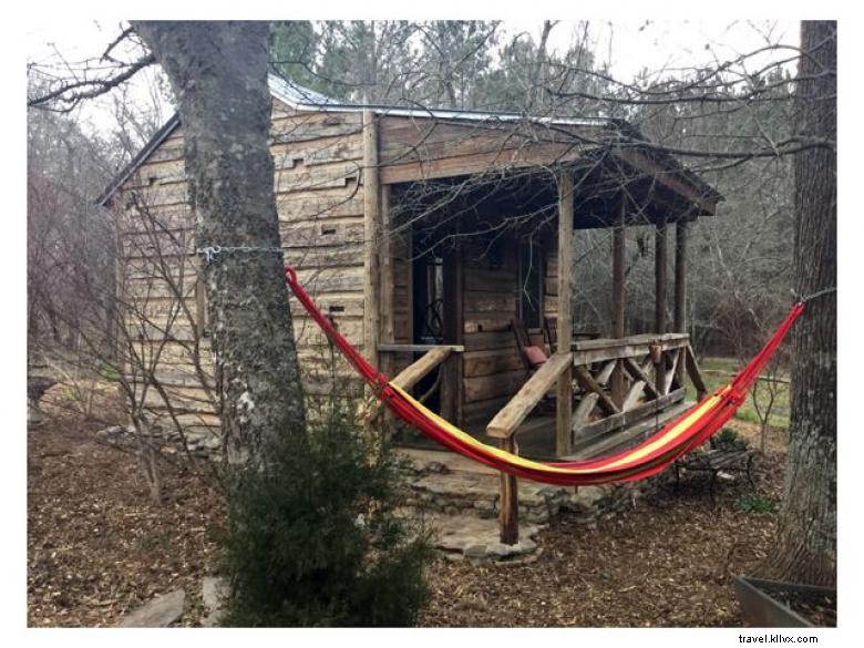 Crafdal Farm Alpacas: Gentle Grazing, Friendly Faces