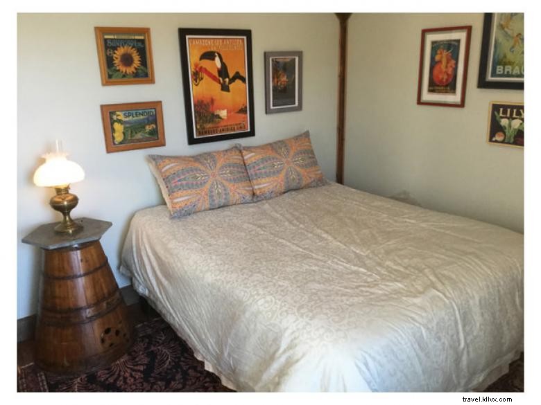 Crafdal Farm Alpacas: Gentle Grazing, Friendly Faces