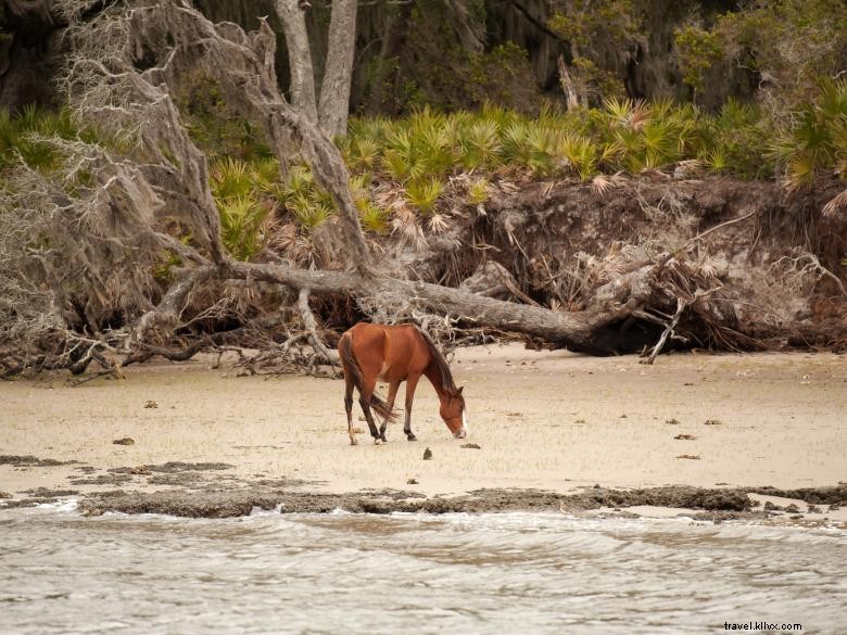 Greyfield Inn – Riverside Retreat