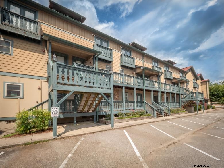 Tulpen – Eleganz für Ihren Garten