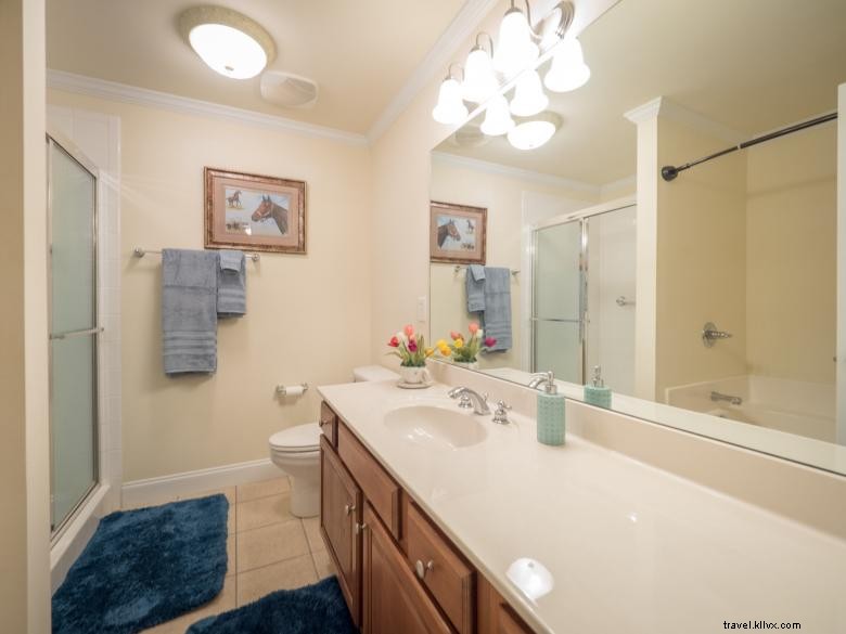 Tulpen – Eleganz für Ihren Garten