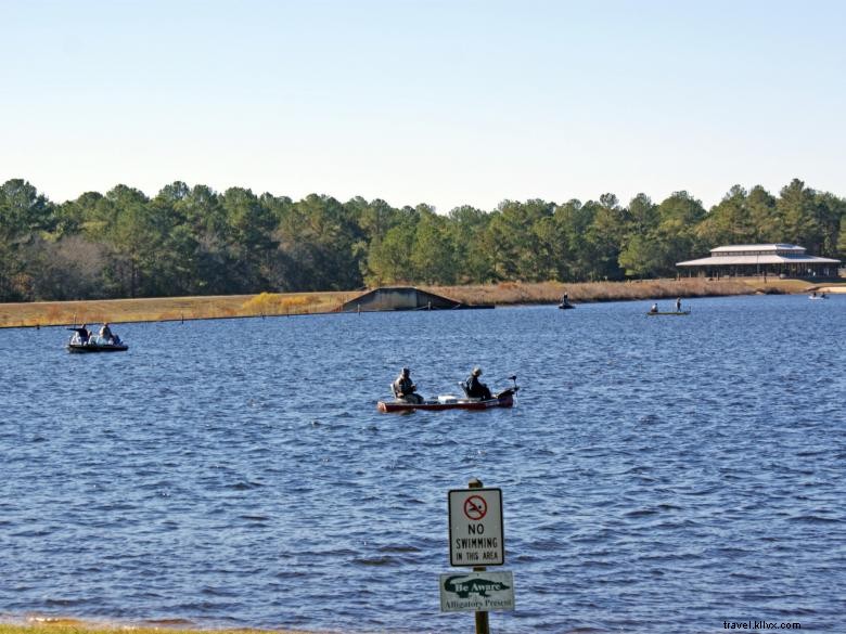 Explore Reed Bingham State Park: Kayaking, Camping, and Wildlife Adventures