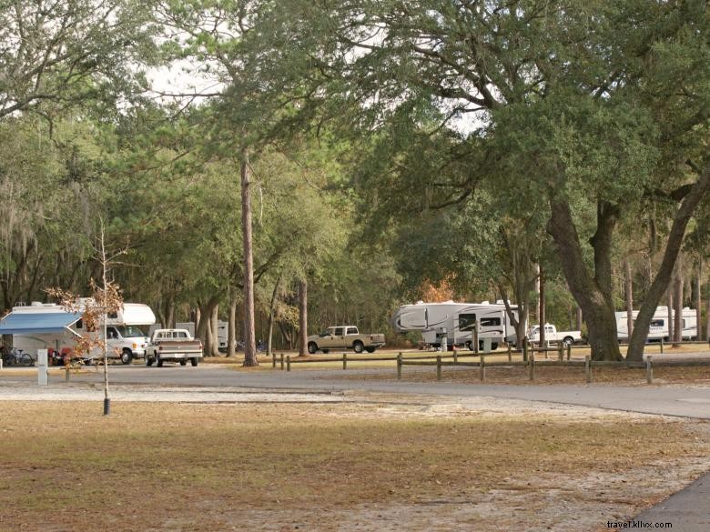 Explore Reed Bingham State Park: Kayaking, Camping, and Wildlife Adventures