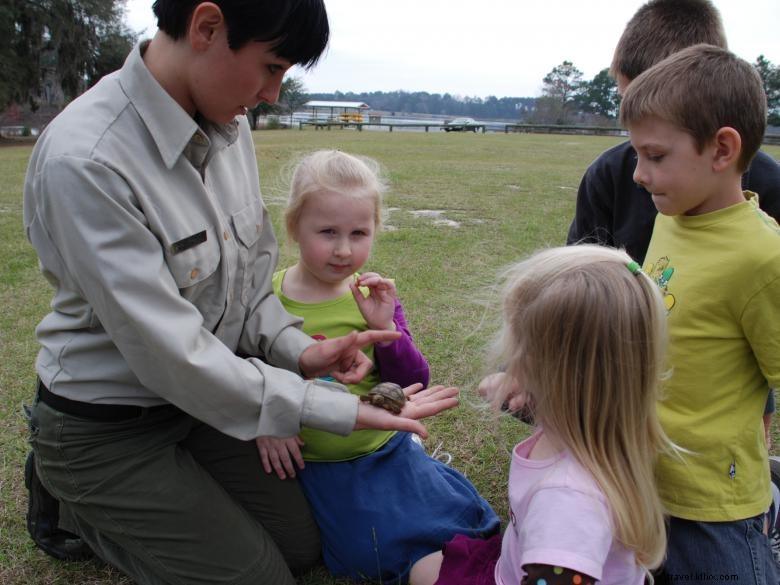 Explore Reed Bingham State Park: Kayaking, Camping, and Wildlife Adventures