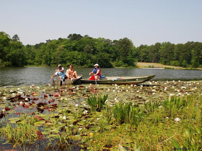 Explore Kolomoki Mounds State Park: Ancient History & Scenic Trails