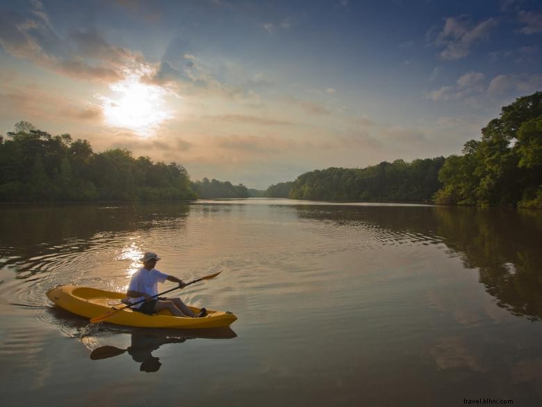 Explore Kolomoki Mounds State Park: Ancient History & Scenic Trails