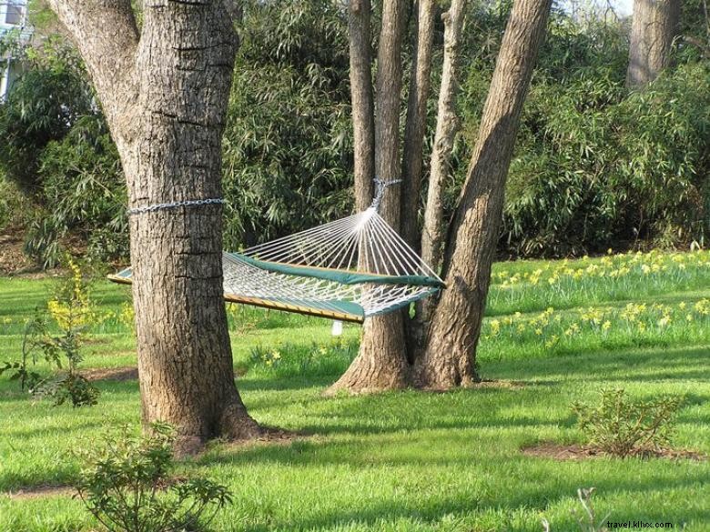 The Brady Inn – Cozy Retreat with Hammock & Southern Charm