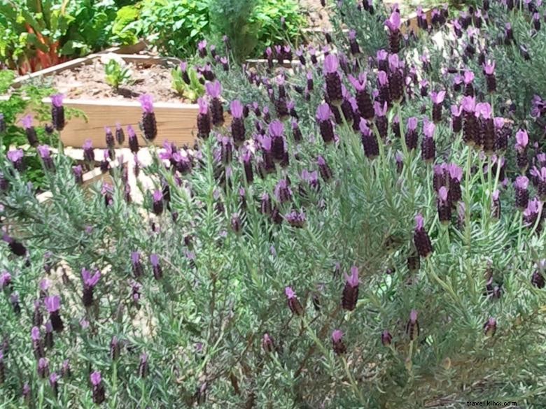 The Brady Inn – Cozy Retreat with Hammock & Southern Charm