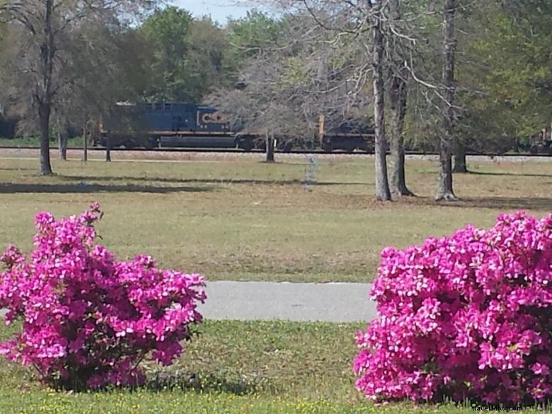 Explore Okefenokee RV Park – Scenic Camping & Family Fun