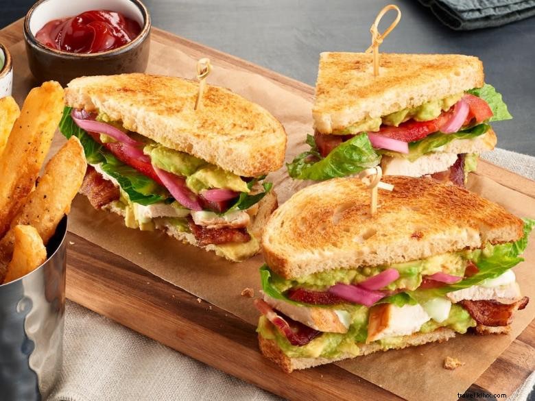 Courtyard Albany: Elegant Living Spaces & Premium Amenities