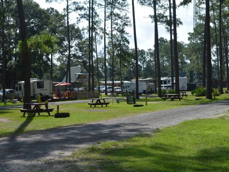 Jacksonville North / St. Marys KOA Campground – Family-Friendly Nature Retreat