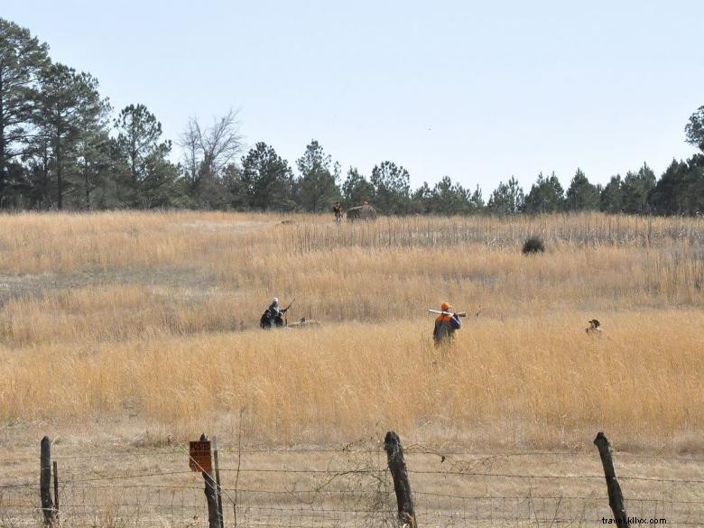 Liberty Hill Sporting Club – Premier Community Sports & Fitness Hub