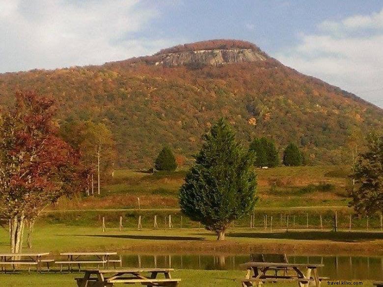 Gabbys Country Cabins – Premium Rustic Getaways