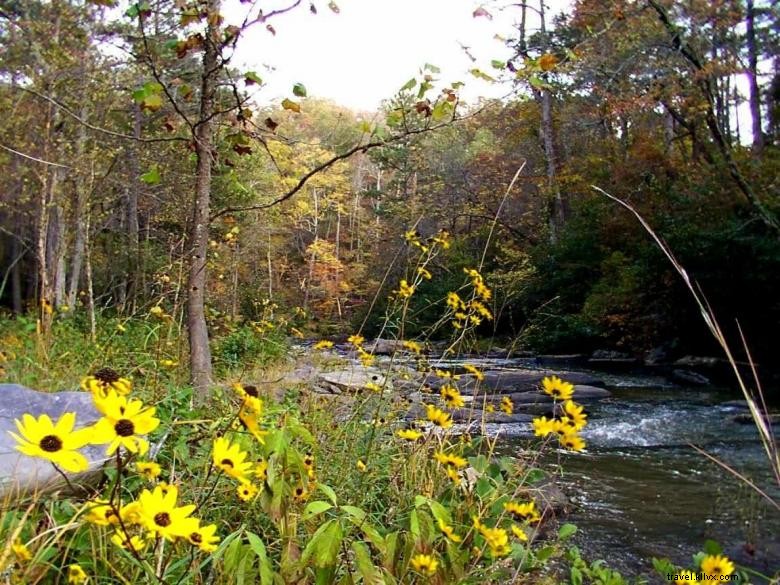 Banning Mills RV & Camping Park – Scenic Retreat & Family Adventure