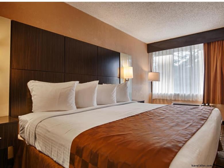 Best Western Executive Inn Cairo – Luxury Comfort & Prime City Location