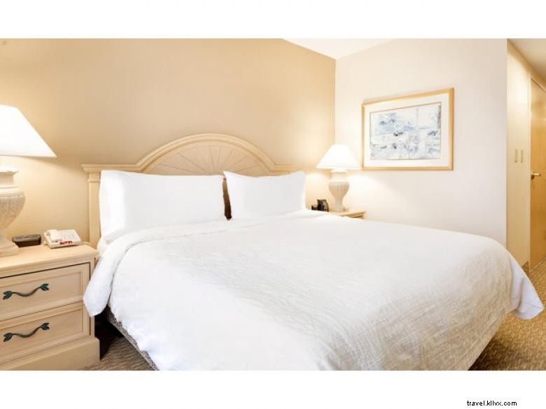 Hilton Garden Inn Atlanta Northpoint – Modern Comfort in the Heart of Atlanta