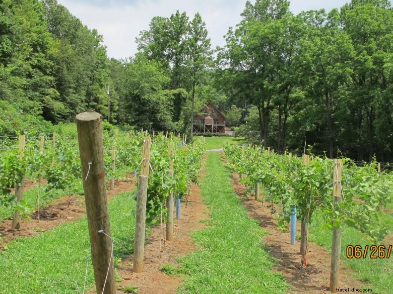 Paradise Hills Winery Resort & Spa – Luxury Wine & Spa Escape