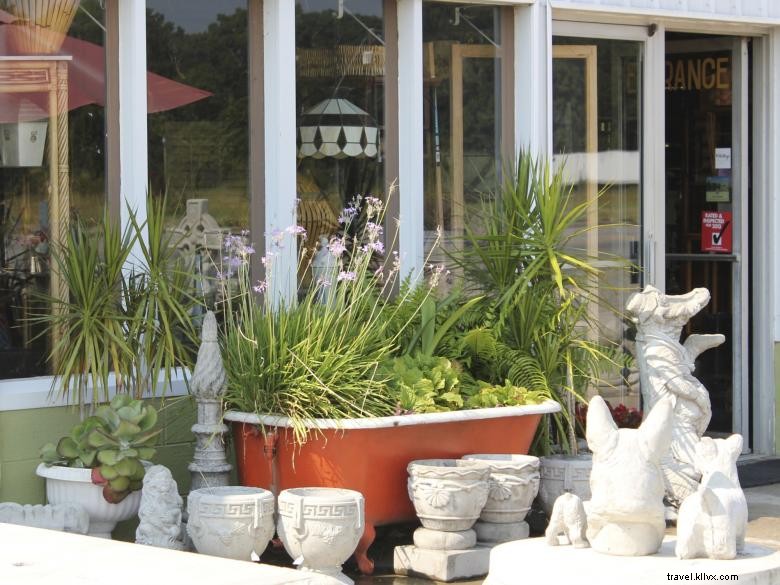 Experience Biltmore RV Park: Savannah s Premier Spring Retreat