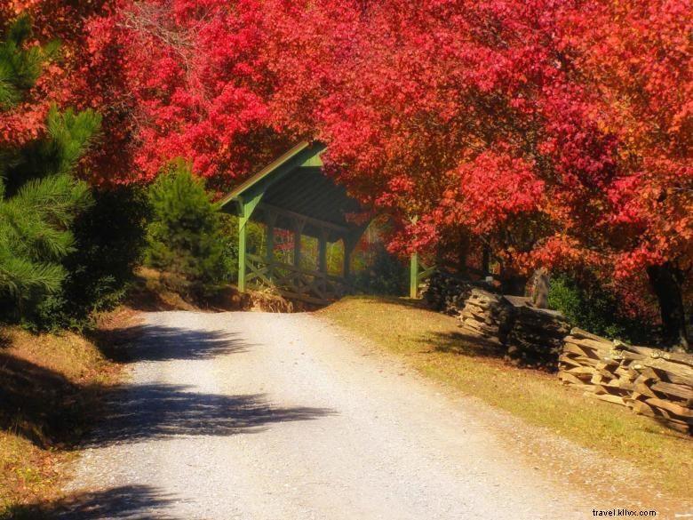 Above the Rest Luxury Cabins: Premium Mountain Retreats