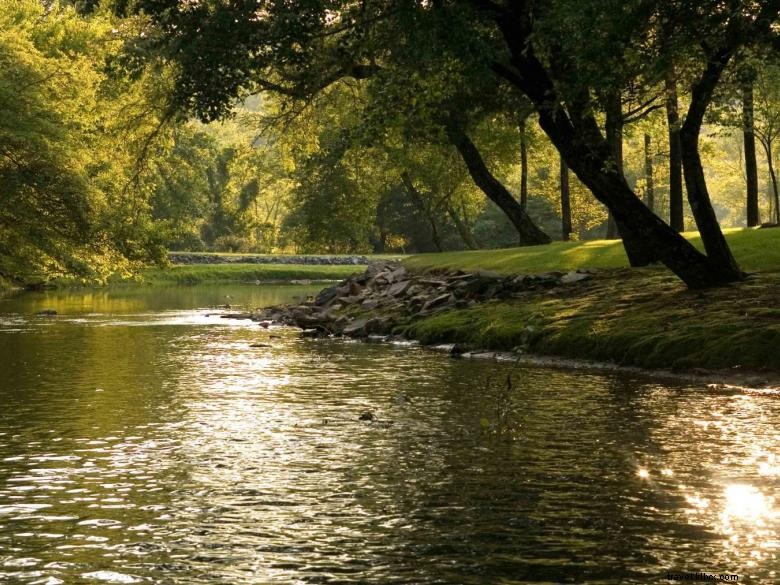 Above the Rest Luxury Cabins: Premium Mountain Retreats