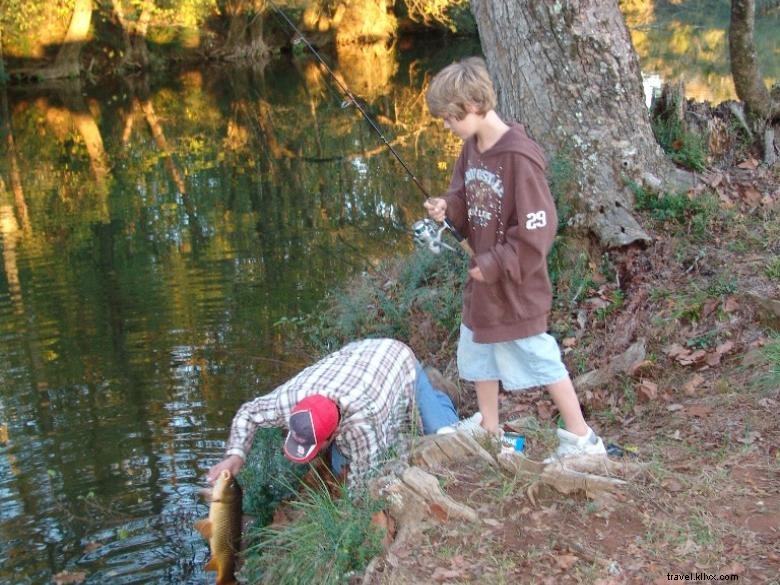 Cedar Creek RV & Outdoor Center: Premium Camping & Recreation Hub