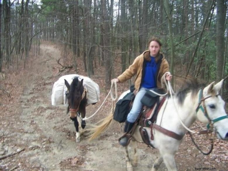 Explore Humberland Guest Ranch – Luxury Country Escape in Northwest Georgia