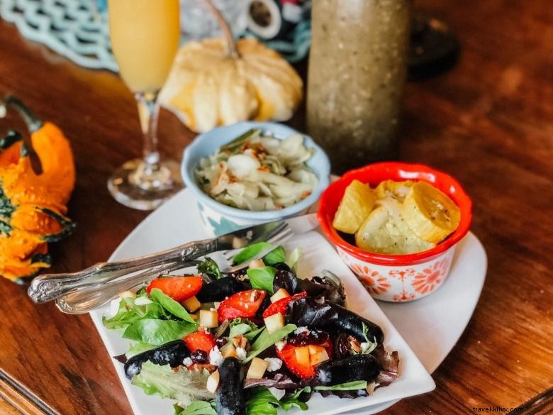 Wild Daisy Farm & Bed & Breakfast – Rustic Comfort in the Countryside