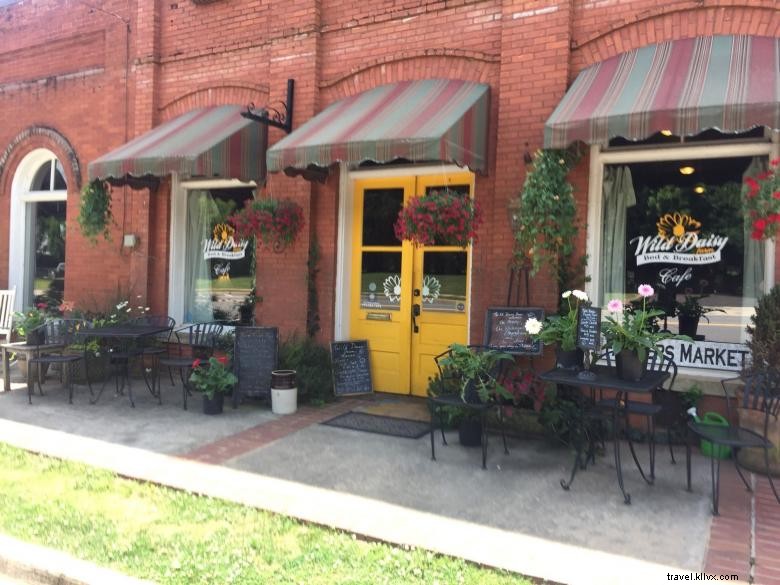 Wild Daisy Farm & Bed & Breakfast – Rustic Comfort in the Countryside