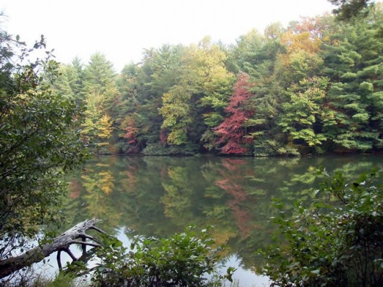 Dockery Lake Recreation Area: Scenic Outdoor Paradise in Northeast Georgia