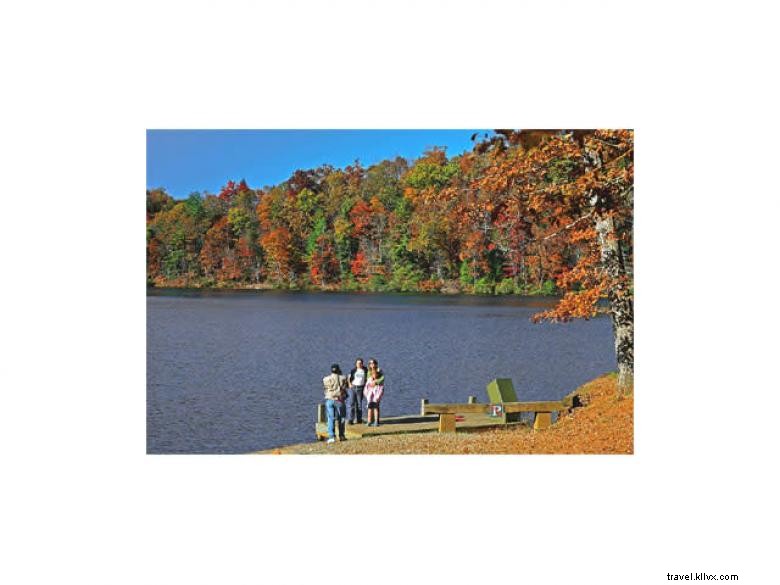 Dockery Lake Recreation Area: Scenic Outdoor Paradise in Northeast Georgia