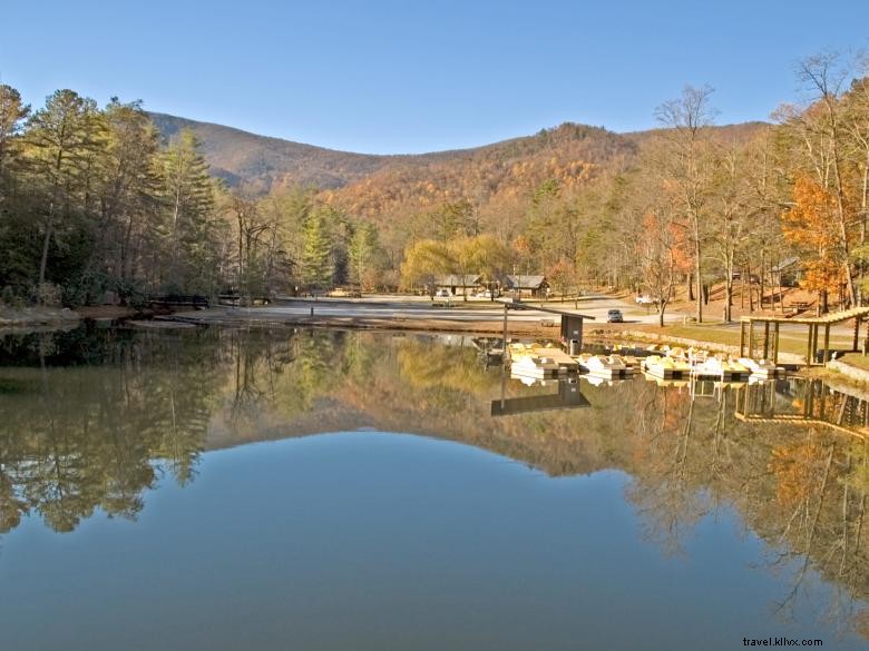 Vogel State Park: Scenic Beach, Cozy Cottage, and Picnic Shelter