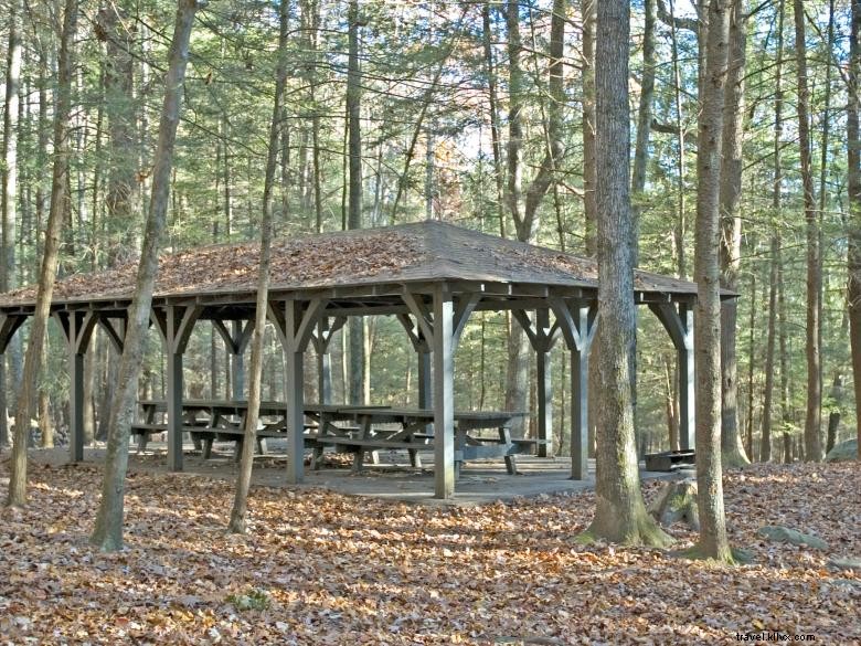 Vogel State Park: Scenic Beach, Cozy Cottage, and Picnic Shelter