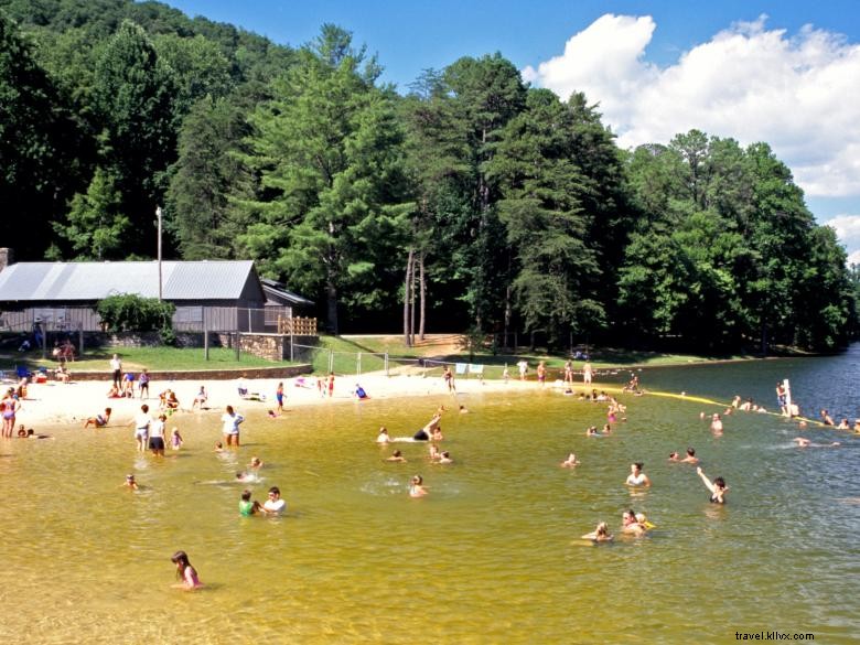 Vogel State Park: Scenic Beach, Cozy Cottage, and Picnic Shelter
