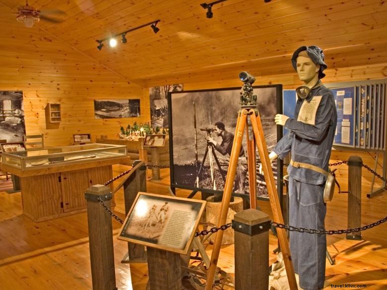 Vogel State Park: Scenic Beach, Cozy Cottage, and Picnic Shelter