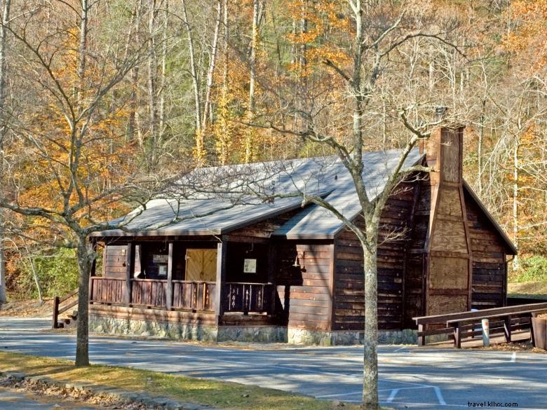 Vogel State Park: Scenic Beach, Cozy Cottage, and Picnic Shelter