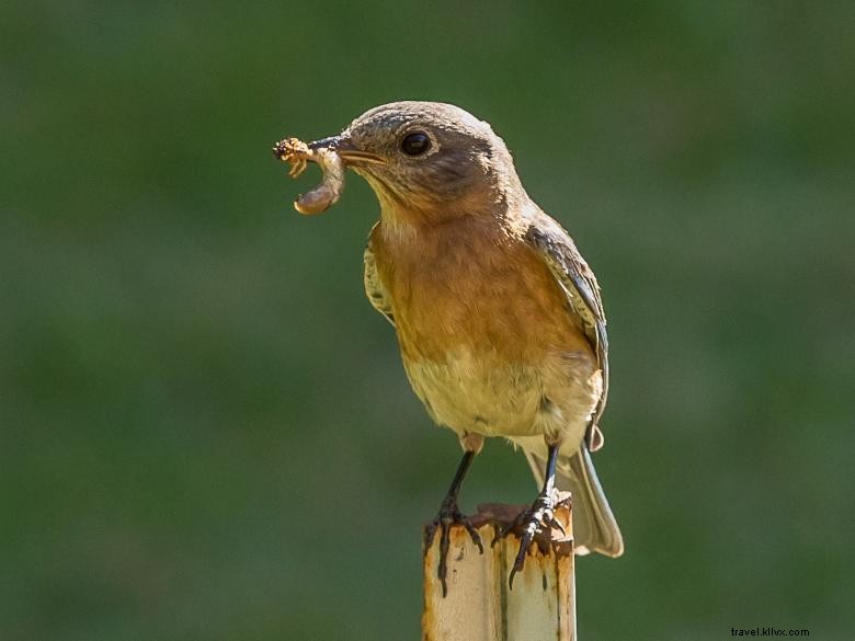 Explore Sprewell Bluff Park: Scenic Views & Family Fun