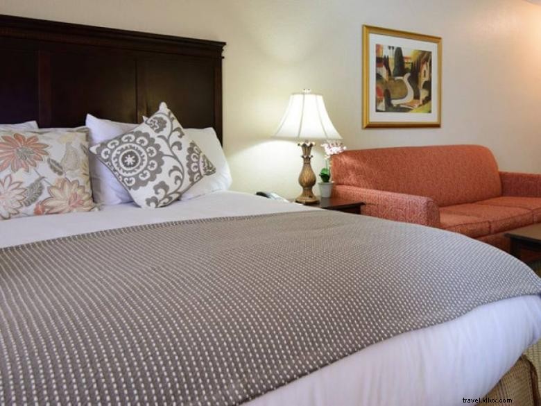 Regency Suites Hotel – Premium Midtown Atlanta Accommodation