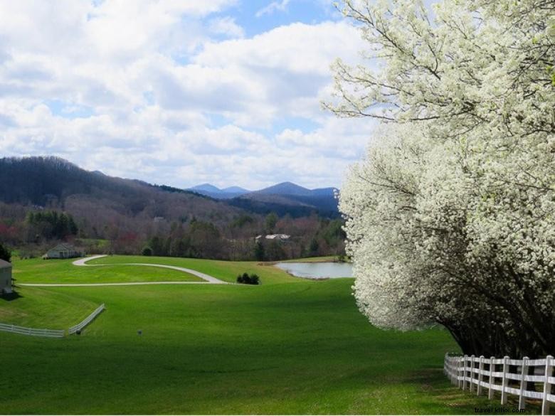 Farm Creek Cabins by 2s Company: Rustic Comfort & Scenic Views