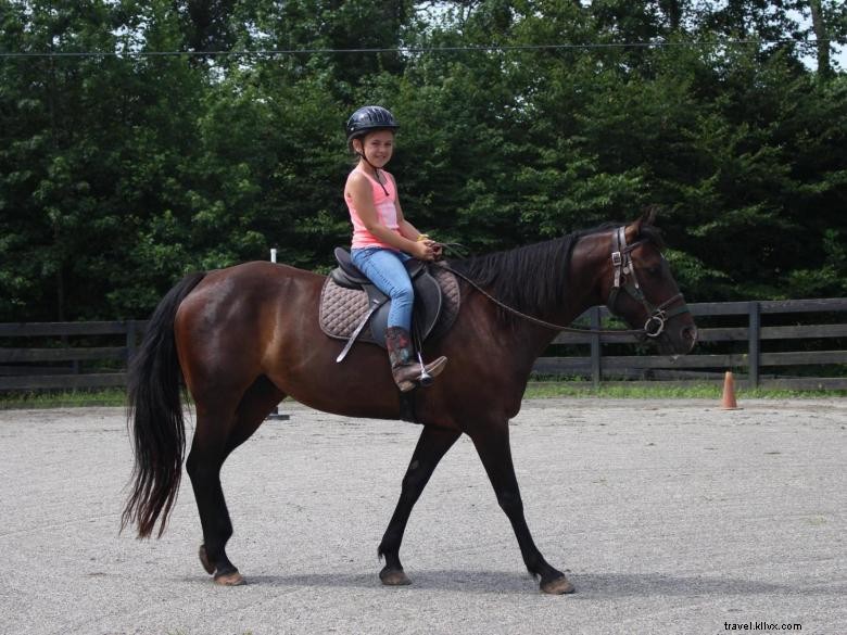 Strong Rock Camp: Outdoor Adventure in the Northeast Georgia Mountains