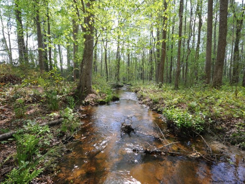 McDuffie Public Fishing Area Campground – Scenic Lakeside Camping & Fishing