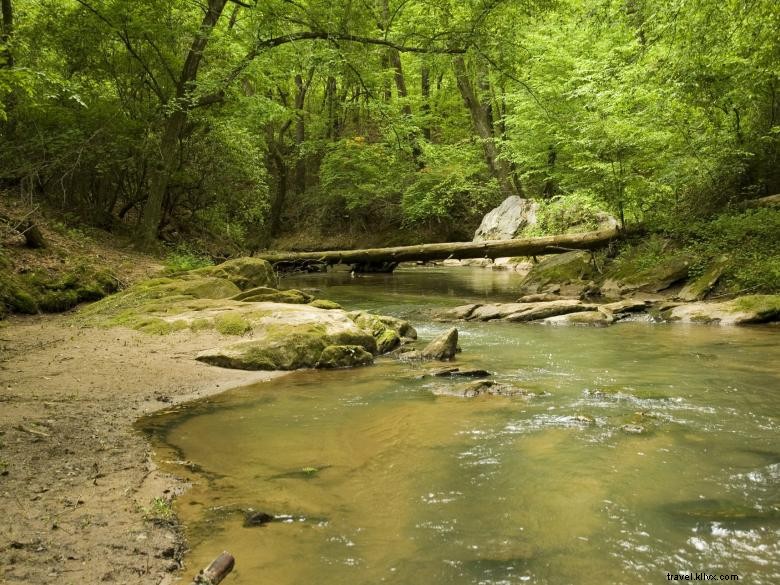 Serendipity Park: Georgia s Premier Family-Friendly Clothing-Optional Resort