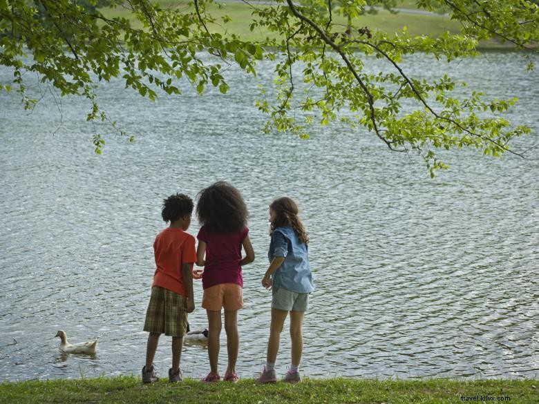 Explore James H. (Sloppy) Floyd State Park: Trails, Camping, and Paddle Boat Rentals