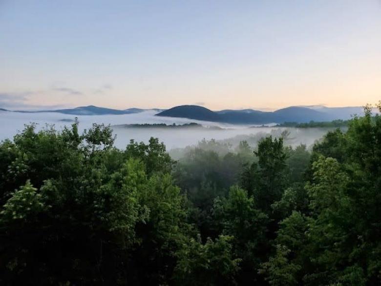 Stunning Hummingbird Portraits: Close-Up Nature Photography